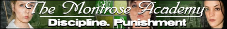 montrose academy banner.jpg